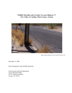SR77 Wildlife Mortality And Corridor