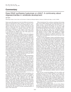 Commentary Does DG42 synthesize hyaluronan or chitin?: A