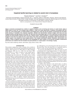 Impaired tactile learning is related to social role in honeybees