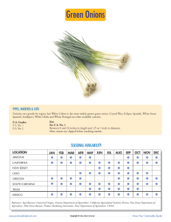 Green Onions - Produce Blue Book