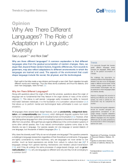 Why Are There Different Languages? The Role of Adaptation in