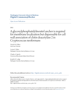 A glycosylphosphatidylinositol anchor is required for membrane