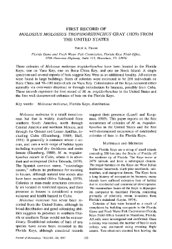 first record of the united states