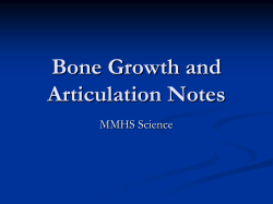 Bone Growth and Articulation Notes