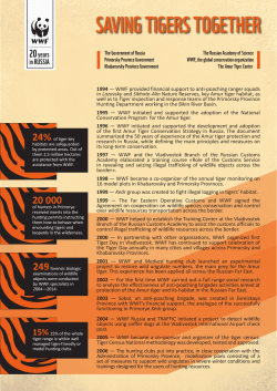 Russia: Tiger Timeline