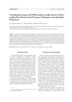 C-banding karyotype and NORs analyse in eight