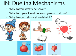 stimulus - TeacherWeb