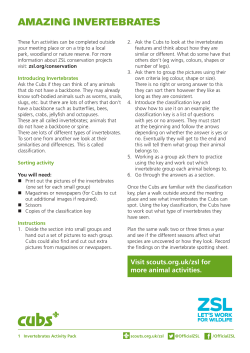 amazing invertebrates