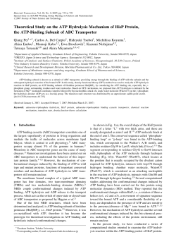 Theoretical Study on the ATP Hydrolysis Mechanism of HisP Protein