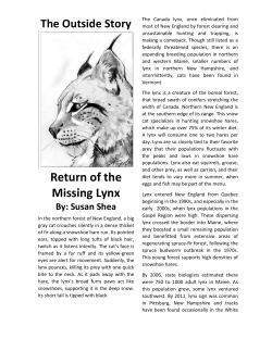 The Outside Story - Northern Woodlands