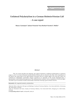Unilateral Polydactylism in a German Holstein-Friesian Calf