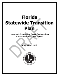 Florida Statewide Transition Plan