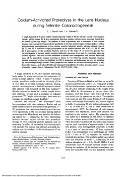 Calcium-activated proteolysis in the lens nucleus during