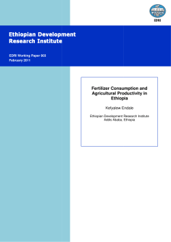 Fertilizer consumption and agricultural productivity in Ethiopia