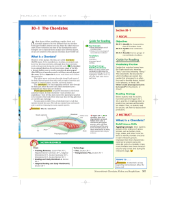 30&ndash;1 The Chordates At first glance, fishes