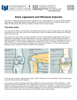 Knee Ligament and Meniscal Injuries