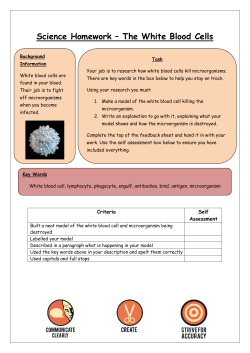 Science Homework &ndash; The White Blood Cells - Science Cloud
