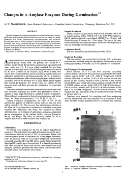 Changes in a-Amylase Enzymes During Germination