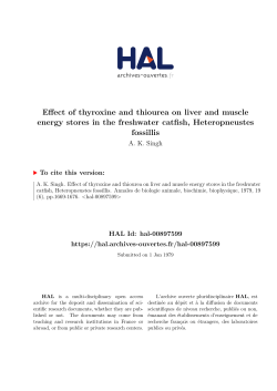 Effect of thyroxine and thiourea on liver and muscle energy stores in