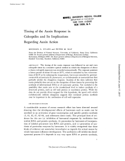 Timing of the Auxin Response in Coleoptiles and Its Implications