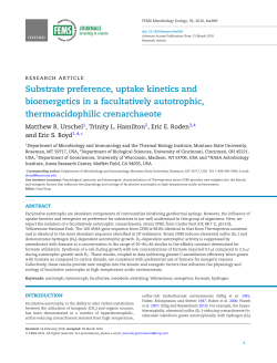 Substrate preference, uptake kinetics and bioenergetics in a