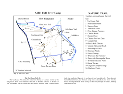 The Tea House Path (1)