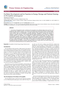 Fat Body Development and its Function in Energy Storage and
