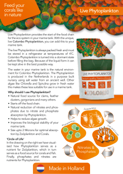 Flyer phytoplankton UK web