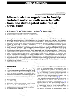 Altered calcium regulation in freshly isolated aortic smooth muscle