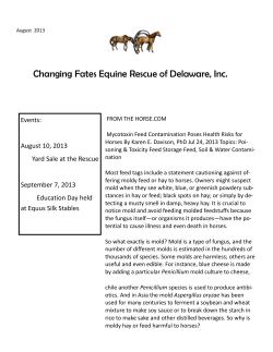 Changing Fates Equine Rescue of Delaware, Inc.