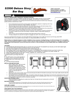 S3500 Deluxe Sissy Bar Bag