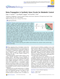 Noise Propagation in Synthetic Gene Circuits for Metabolic Control