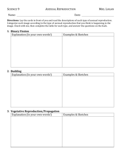 Name: Date: 1. Binary Fission Explanation (In your own words
