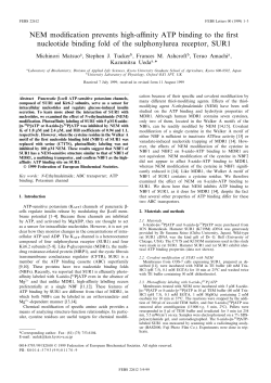 NEM modi&cent;cation prevents high-affinity ATP binding to the &cent;rst