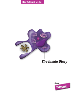 The Inside Story