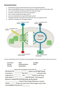Photosynthesis Review 1. Describe the energy
