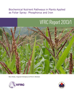 Biochemical Nutrient Pathways in Plants Applied as Foliar Spray