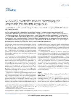 Muscle injury activates resident fibro/adipogenic progenitors that