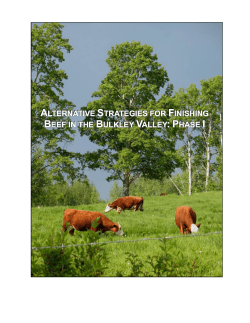 Alternatives for Finishing Beef in the BV