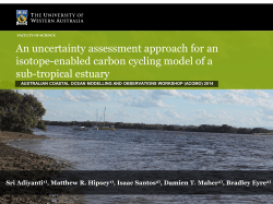 An uncertainty assessment approach for an isotope