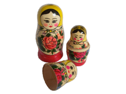 Endosymbiosis and the origin of bioenergetic