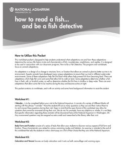 how to read a fish... and be a fish detective