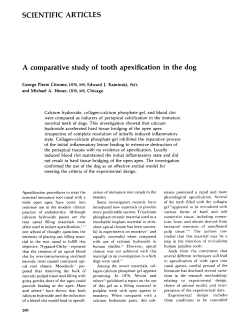 A comparative study of tooth apexification in the dog