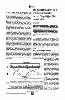 mouse t hapl0types and