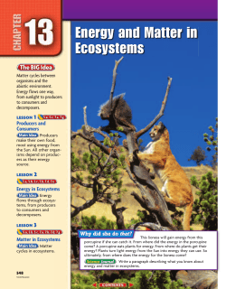 Chapter 13: Energy and Matter in Ecosystems