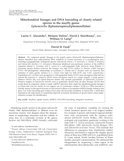 Mitochondrial lineages and DNA barcoding of closely related