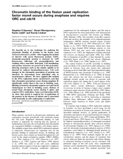 Chromatin binding of the fission yeast replication factor mcm4