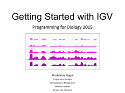 Getting Started with IGV