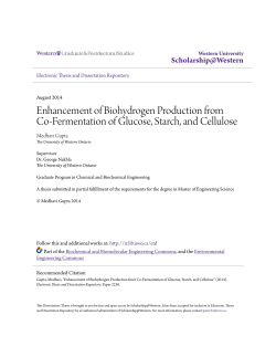 Enhancement of Biohydrogen Production from Co