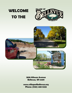 Bellevue Packet - Village of Bellevue